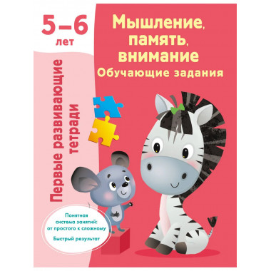 Мышление, память, внимание. Обучающие задания. 5-6 лет.