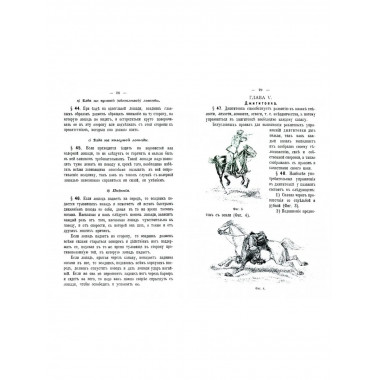 Руководство для казачьей езды.