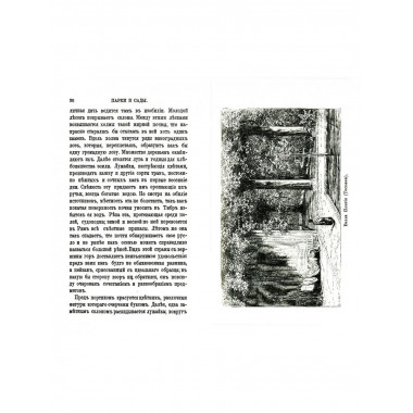 Парки и сады.