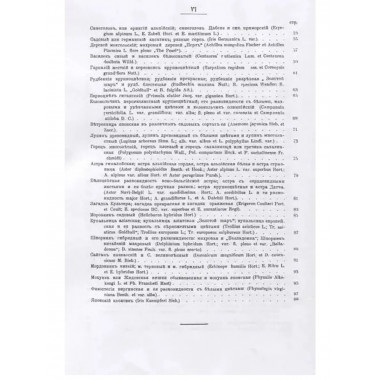 Садовые многолетники.