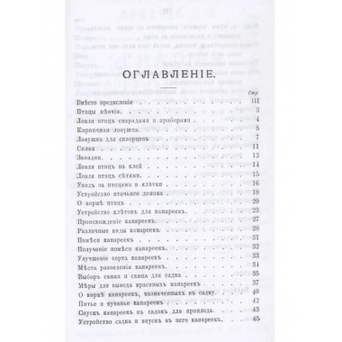 Охотник певчих птиц.