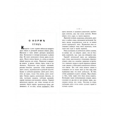 Охотник певчих птиц.