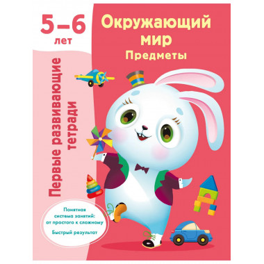Окружающий мир. Предметы. 5-6 лет.