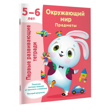 Окружающий мир. Предметы. 5-6 лет.
