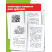 Сказки и рассказы о животных.