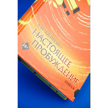 Настоящее пробуждение. Real Awakening. Книга 3.