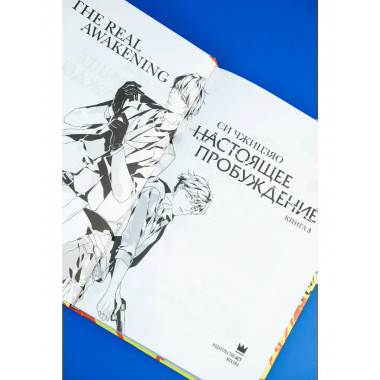 Настоящее пробуждение. Real Awakening. Книга 3.