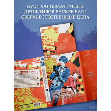 Настоящее пробуждение. Real Awakening. Книга 3.