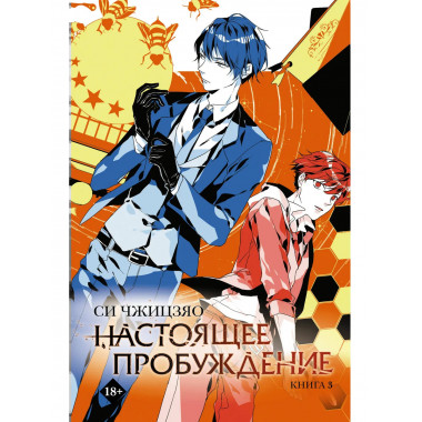 Настоящее пробуждение. Real Awakening. Книга 3.