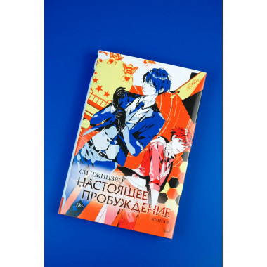 Настоящее пробуждение. Real Awakening. Книга 3.