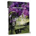 Цветник в тени. Неприхотливые растения для вашего сада.