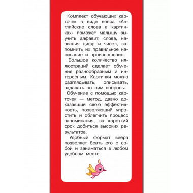 Английские слова в картинках..