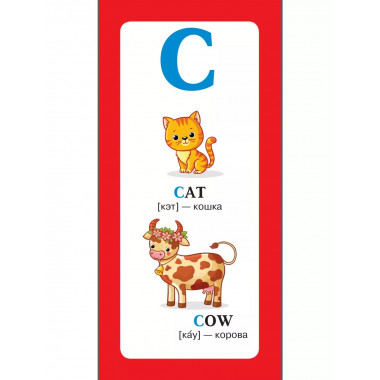 Английские слова в картинках..