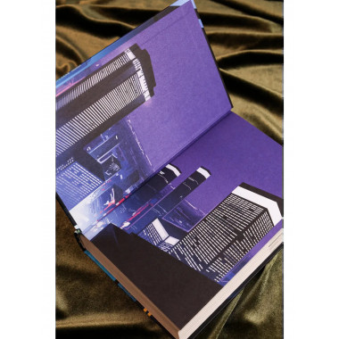 Потерянные крылья.