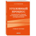 Уголовный процесс. Полный курс лекций. 3-е издание.