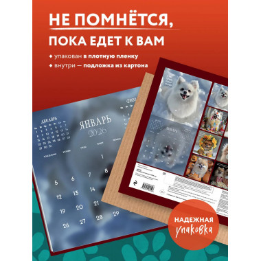 Шпицы. Календарь настенный на 2026 год (300х300).