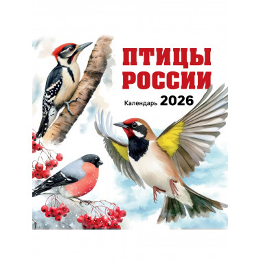 Птицы России. Календарь настенный на 2026 год (300х300 мм).