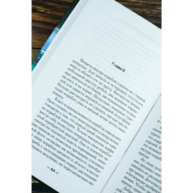 Авантюрист. Железный Ронин.