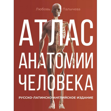 Атлас анатомии человека. Русско-латинско-английское издание.