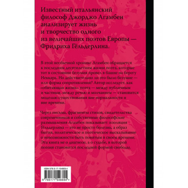 Безумие Гёльдерлина. Жизнь, поделенная надвое.
