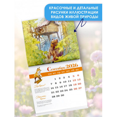 Познавательный календарь. Лесные тропинки. 2026.