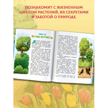 Тайна покинутого сада.