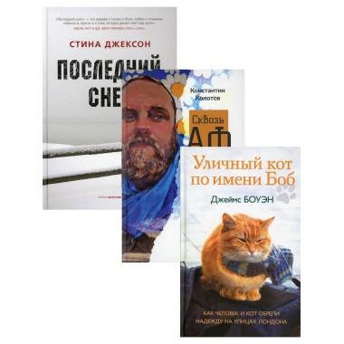 Семейный бестселлер (комплект из 3-х книг)