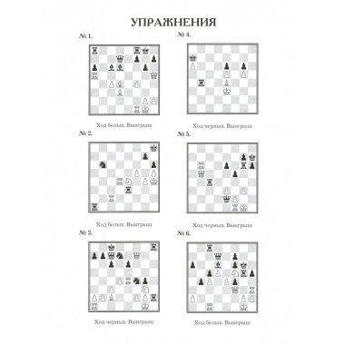 Практикум по шахматной тактике для юных чемпионов. Решебник