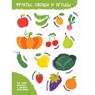Мои первые слова в картинках.