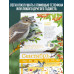 Календарь Птицы России с голосами 2026 год.