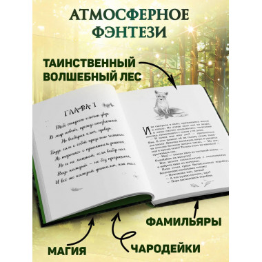 Магия четырех стихий. Девочка по имени Ива (#1)