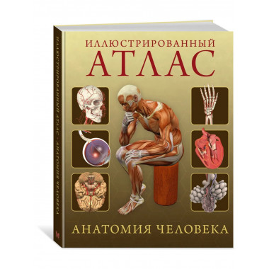 Иллюстрированный атлас. Анатомия человека