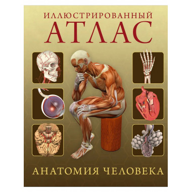 Иллюстрированный атлас. Анатомия человека