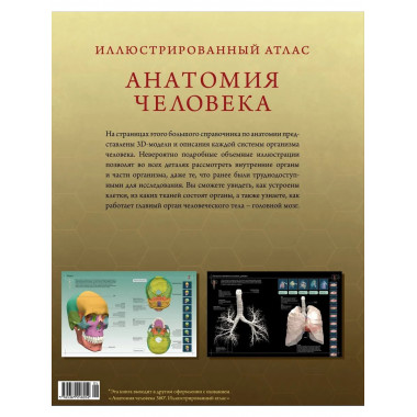 Иллюстрированный атлас. Анатомия человека