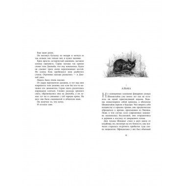 Бесшабашный. Книга 2. Живые тени