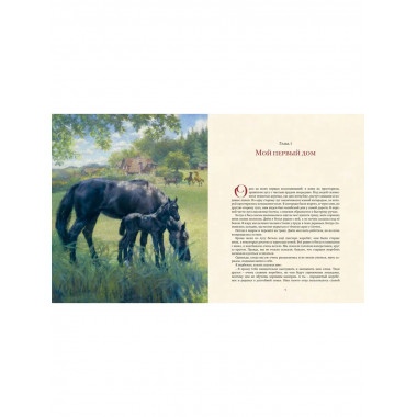 Чёрный Красавчик (илл. К. Бирмингема)