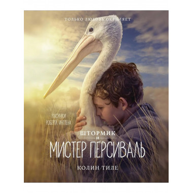 Штормик и мистер Персиваль