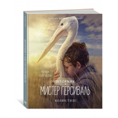 Штормик и мистер Персиваль
