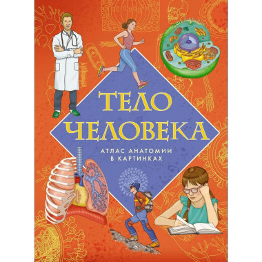 Тело человека. Атлас анатомии в картинках