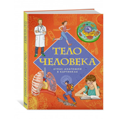Тело человека. Атлас анатомии в картинках