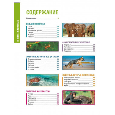 В мире животных (нов.обл.). Энциклопедия