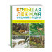 Большая лесная энциклопедия. Знакомимся с природой России