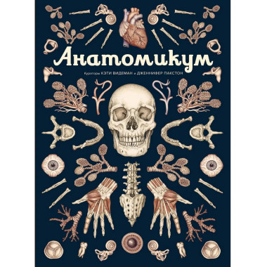 Анатомикум