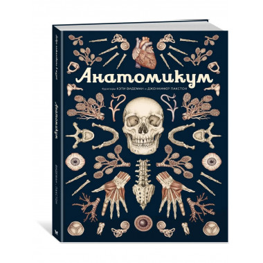 Анатомикум