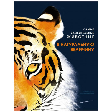 Самые удивительные животные в натуральную величину