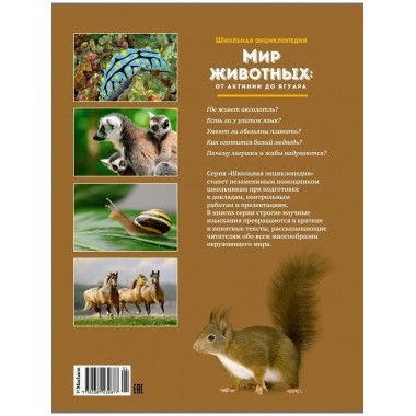 Мир животных: От актинии до ягуара