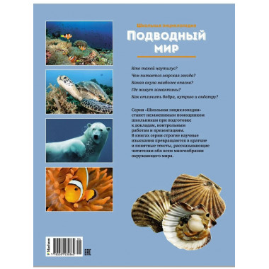 Подводный мир