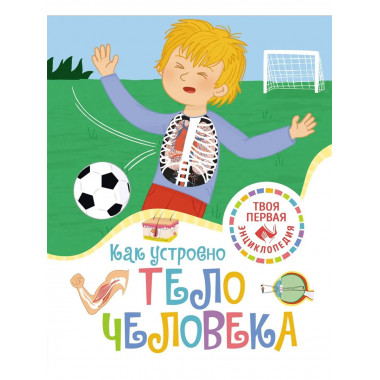 Как устроено тело человека