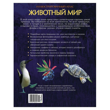 Животный мир. Иллюстрированный атлас