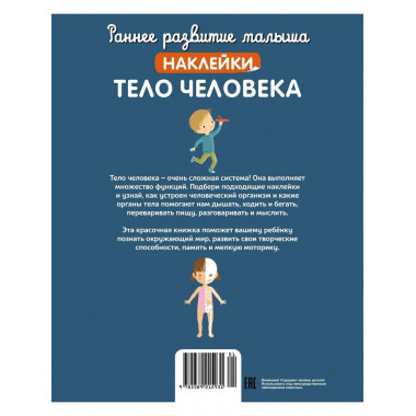 Тело человека (с наклейками)
